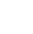 Customs clearance expert